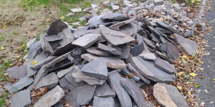 У парку Перемоги в Миколаєві знищено зелені насадження та засмічено земельні ділянки – Держекоінспекція до поліції з заявою про злочин (ФОТО)