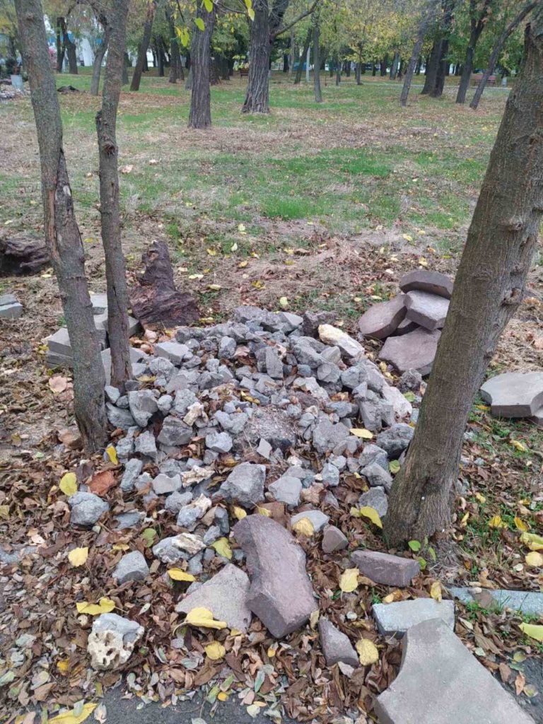 У парку Перемоги в Миколаєві знищено зелені насадження та засмічено земельні ділянки – Держекоінспекція до поліції з заявою про злочин (ФОТО) 14