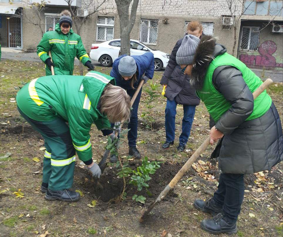 У Миколаєві на пр.Центральному висадили 50 саджанців дерев та кущів (ФОТО) 16