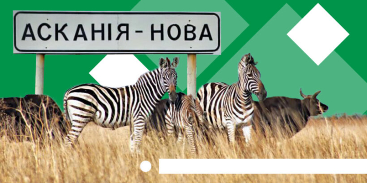 Окупанти вивозять тварин із заповідника  “Асканія-Нова” в свій “Сафарі-парк” (ФОТО)