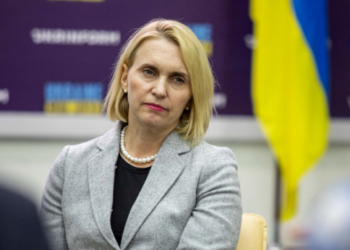 Соколиним поглядом. Посол США – про моніторинг допомоги Україні