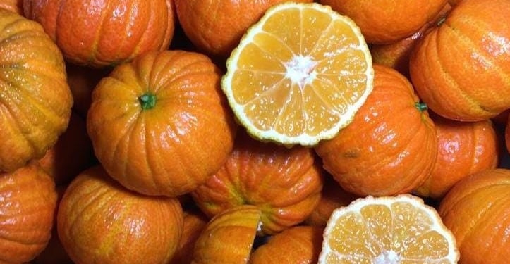 Мандарини у вигляді гарбуза. Солодкий сюрприз на Гелловін обіцяє шалені прибутки (ФОТО)