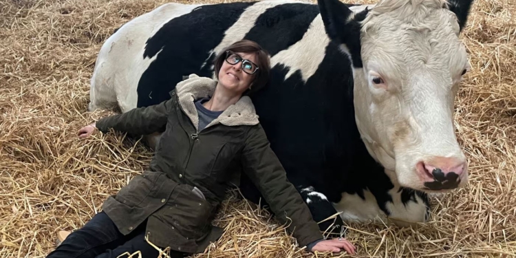 У Британії обійми з коровами рятують від стресу. Сеанс – 50 фунтів, квитки розлітаються миттєво (ВІДЕО) 