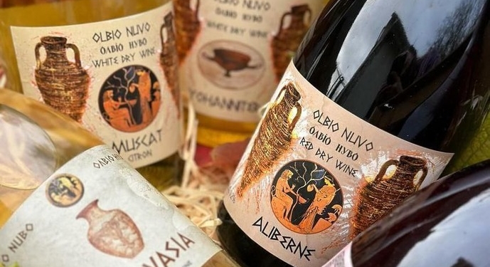 Сімейна виноробня на Миколаївщині запускає виробництво нового вина