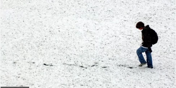  Ходити задом наперед корисно для тіла та мозку