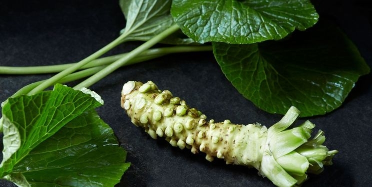 Васабі не хрін і не гірчиця, але класно покращує пам’ять