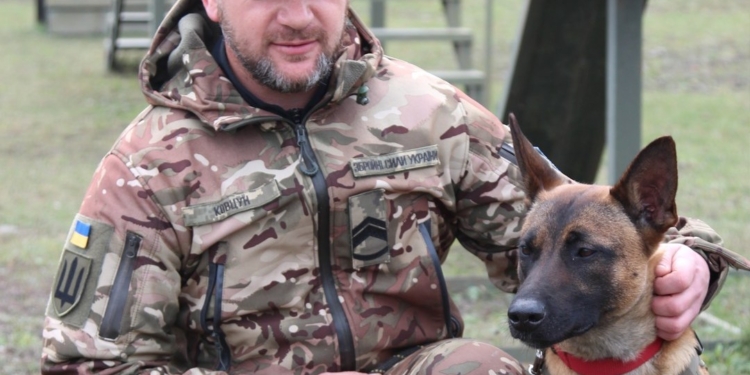 Європейський союз передав другу групу підготовлених собак-саперів Україні: історія Степана та Інес (ФОТО)  