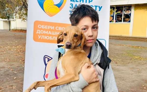 Виставка-прилаштування безпритульних тварин у Миколаєві: ще понад 40 собак та котів знайшли власників (ФОТО)