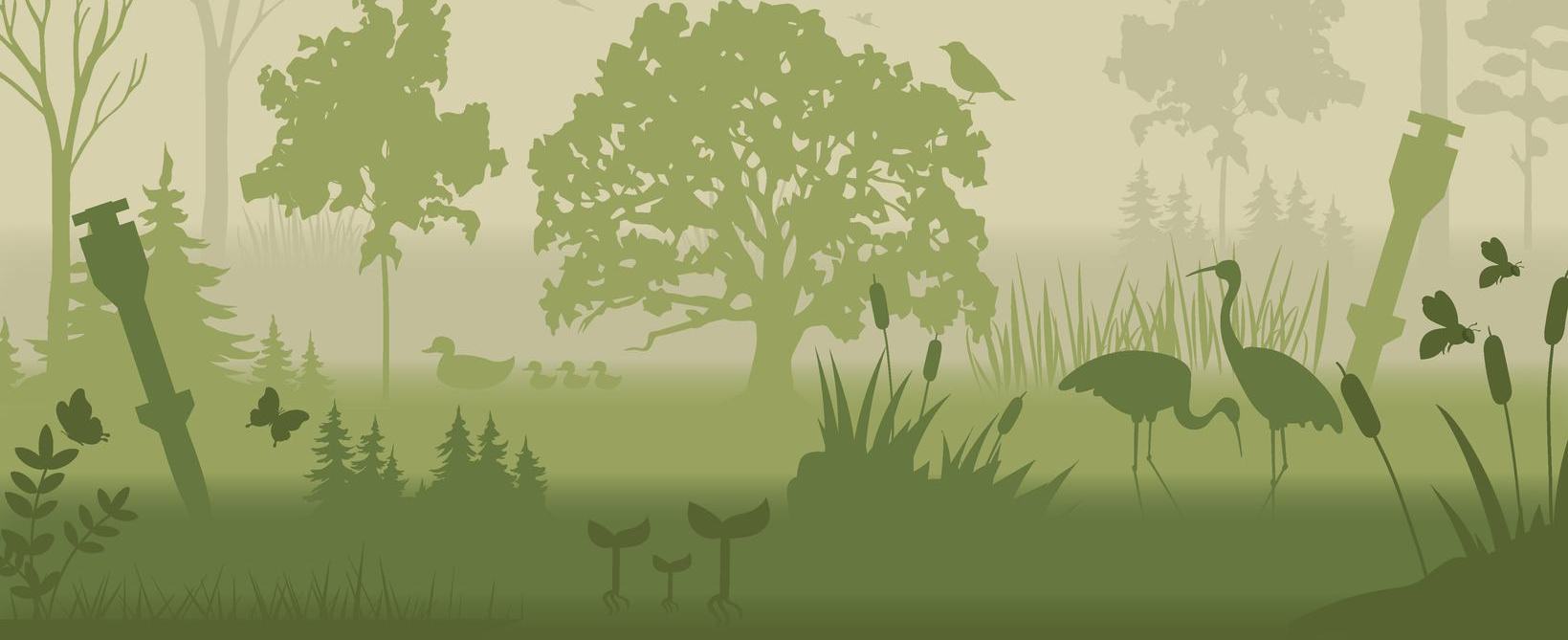 Понад 20% природоохоронних територій України уражені війною (ІНФОГРАФІКА)