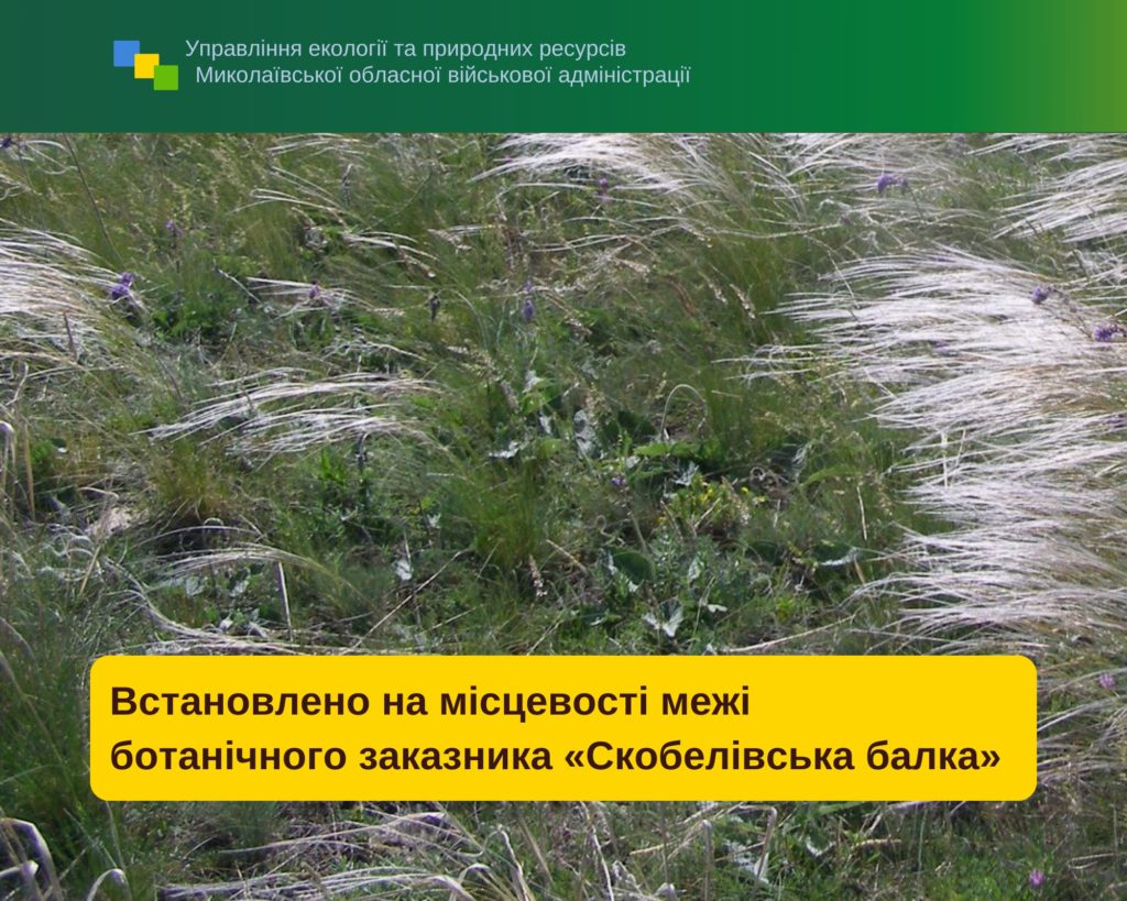 На Миколаївщині встановили на місцевості межі ботанічного заказника місцевого значення «Скобелівська балка» 1