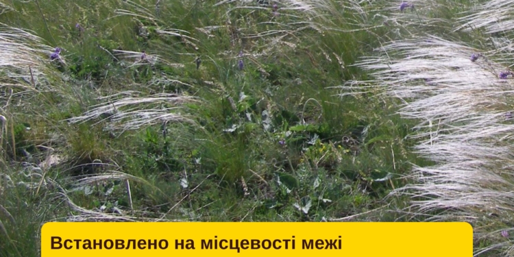 На Миколаївщині встановили на місцевості межі ботанічного заказника місцевого значення «Скобелівська балка»