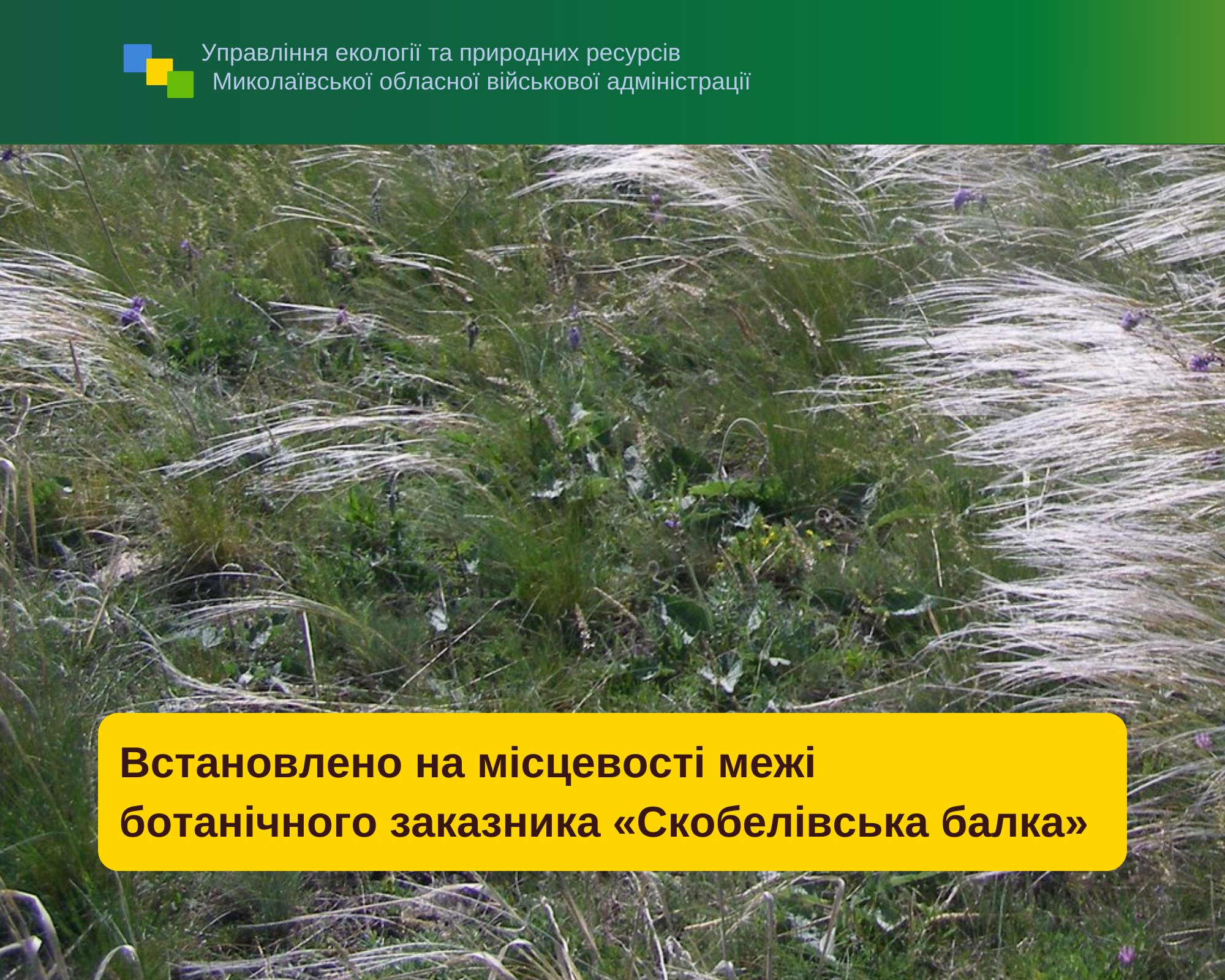 На Миколаївщині встановили на місцевості межі ботанічного заказника місцевого значення «Скобелівська балка»