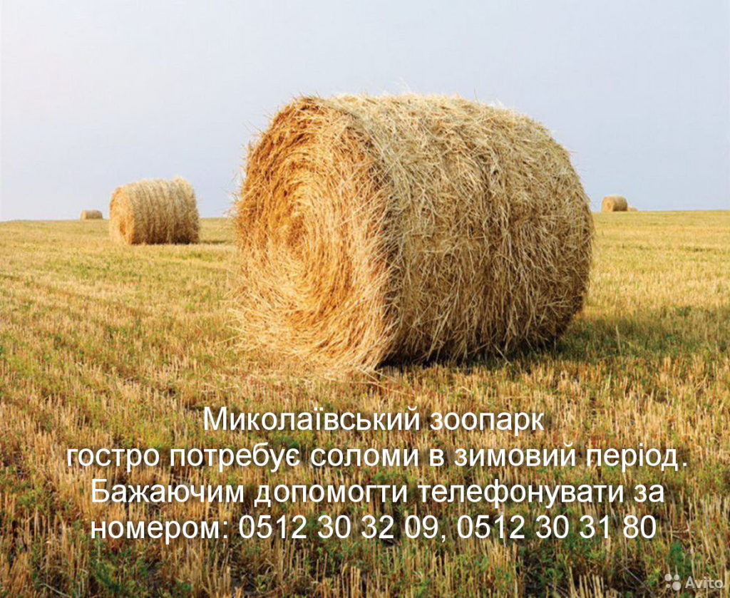 Миколаївському зоопарку потрібна допомога: соломою, а також гарбузами, які не отримані від недобросовісного постачальника 2