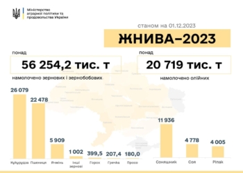 Жнива-2023: в Україні намолочено майже 77 млн тонн зернових та олійних культур