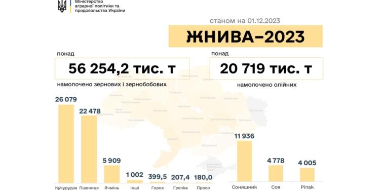 Жнива-2023: в Україні намолочено майже 77 млн тонн зернових та олійних культур