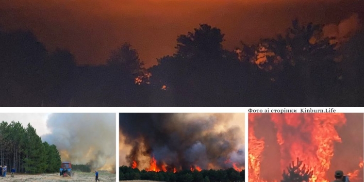 Кінбурн в огні та окупації: внаслідок воєнних дій пожежами вражено 59% території півострова в межах Миколаївської області (ФОТО)