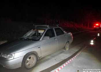На Миколаївщині ВАЗ збив літнього чоловіка (ФОТО)