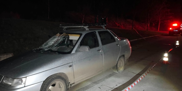 На Миколаївщині ВАЗ збив літнього чоловіка (ФОТО)