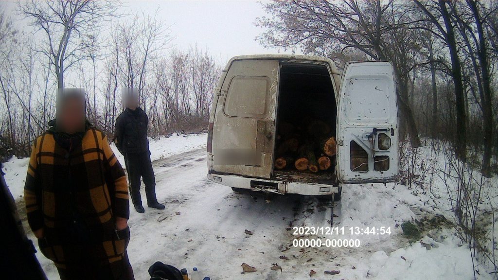 Знов «чорні лісоруби» на Миколаївщині: один спиляв ясенів на півмільйона, інший перевозив 22 куби деревини без документів (ФОТО) 2