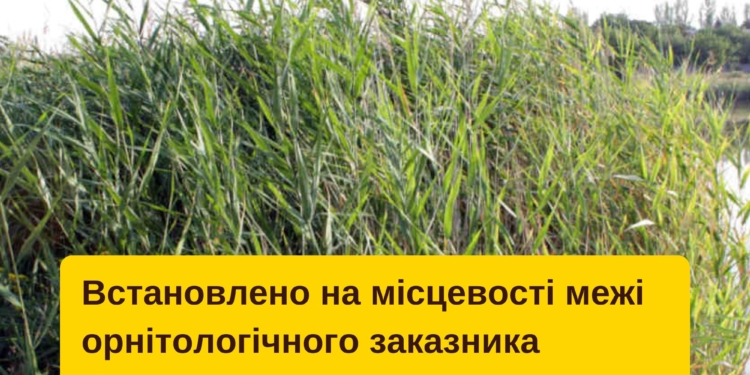 Межі орнітологічного заказника місцевого значення «Веселинівські плавні» на Миколаївщині встановлено на місцевості