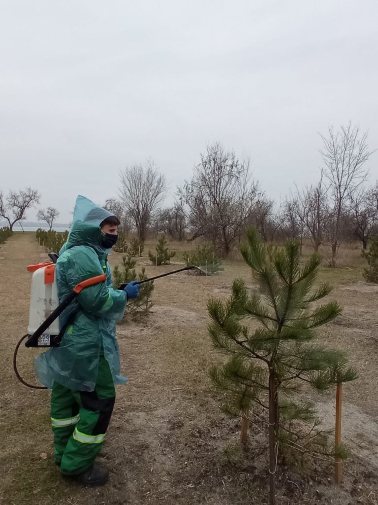 В трьох скверах і парках Миколаєва сосни обробили спеціальним препаратом, який в теплі розпадається на небезпечні сполуки (ФОТО) 2