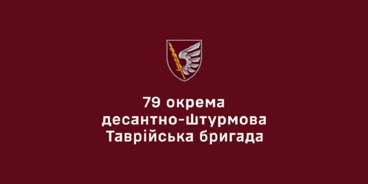 Миколаївські десантники влучними скидами з БпЛА змушують противника тікати (ВІДЕО)