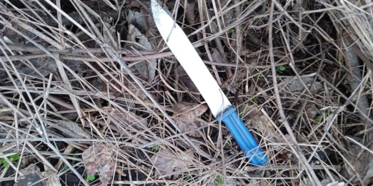 На Миколаївщині молодший брат вирішив убити старшого – просто зайшов і вдарив ножем