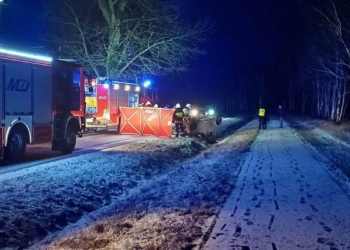 В Польщі в ДТП загинули 3 українців
