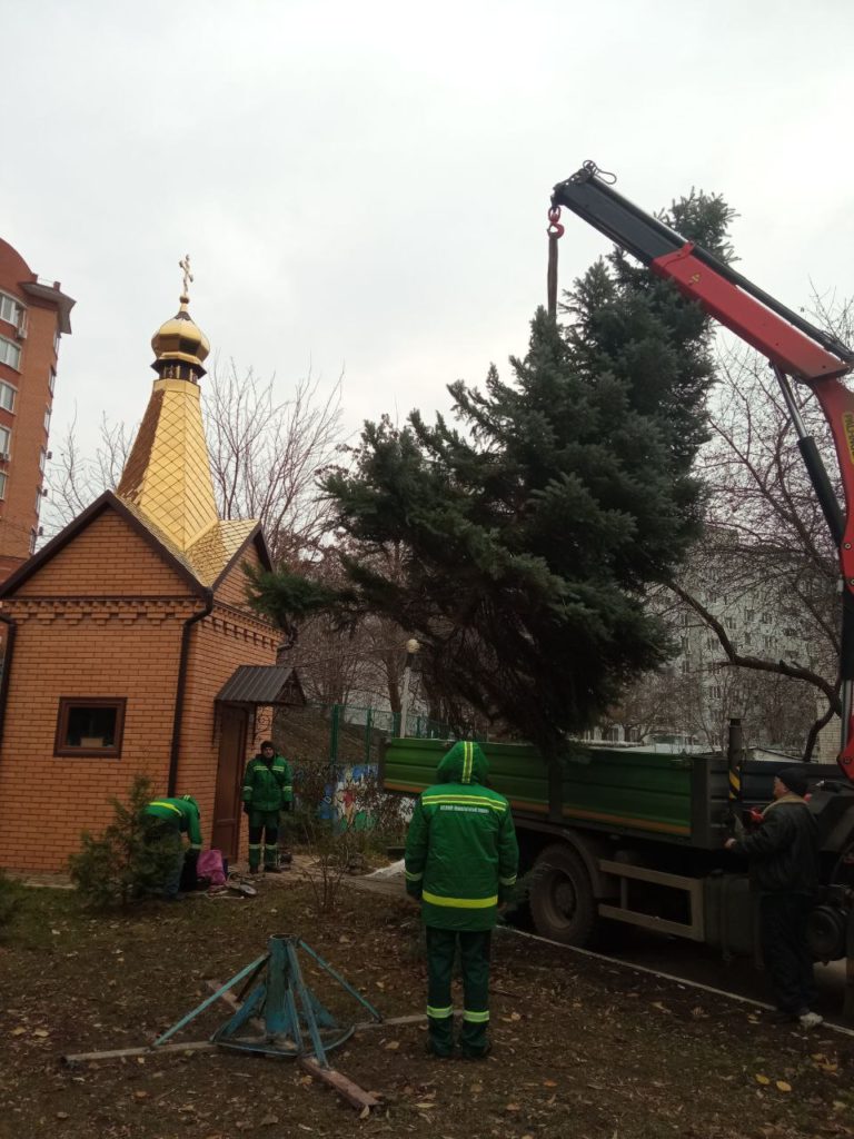 Ялинка, яка впала у Миколаєві внаслідок буревію, поїхала до Южноукраїнська - прикрашати свято вихованців дитбудинку (ФОТО) 2