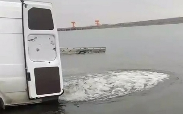 В Олександрівське водосховище на Миколаївщині вселили 900 кг молоді товстолоба та карпа (ВІДЕО)