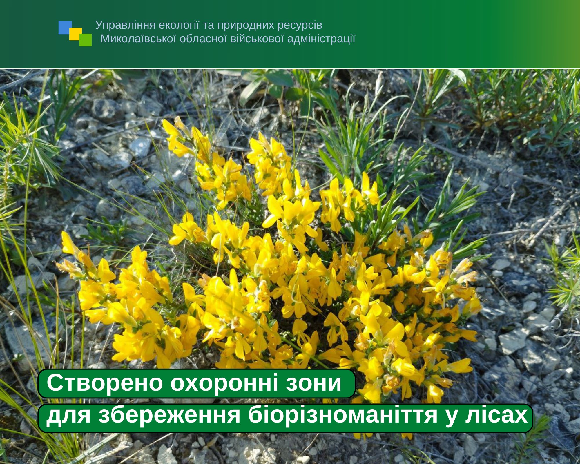 На Миколаївщині створено охоронні зони для збереження біорізноманіття в лісах (ФОТО)