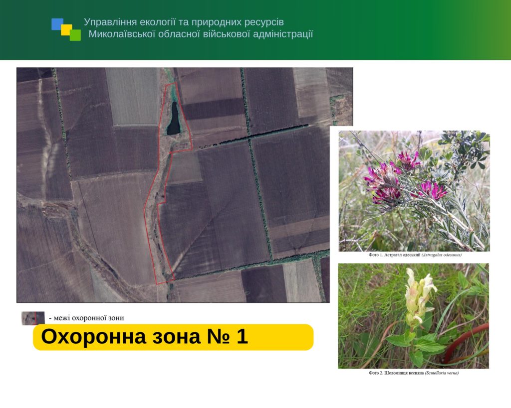 На Миколаївщині створено охоронні зони для збереження біорізноманіття в лісах (ФОТО) 1