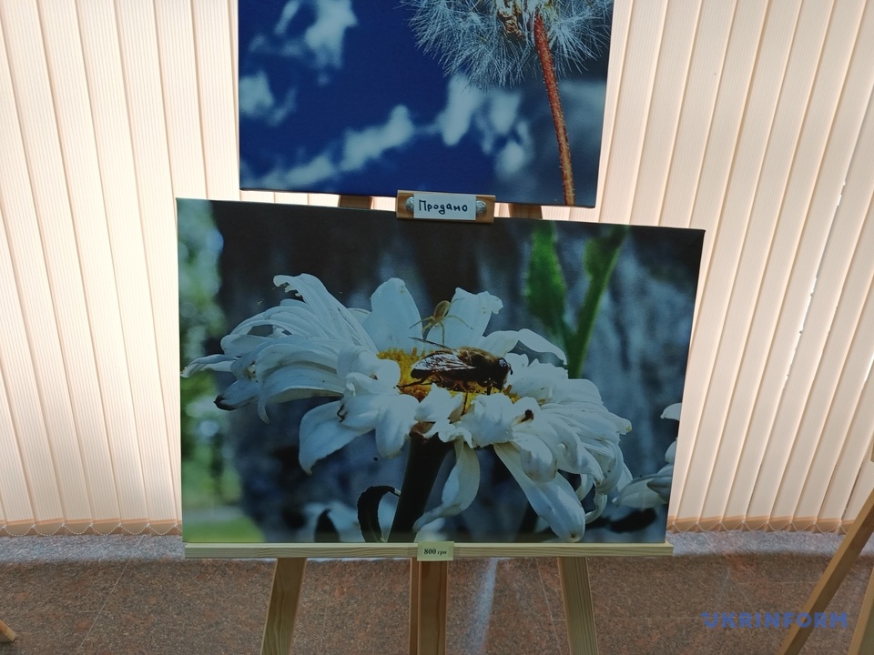 У Миколаєві відкрилась виставка фоторобіт десантника Михайла Митрохіна – кошти від продажу світлин підуть на ремонт автівок «79-ки» (ФОТО) 6