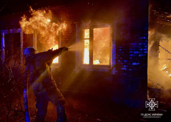 За добу на Миколаївщині рятувальники двічі виїжджали на гасіння пожеж (ФОТО)