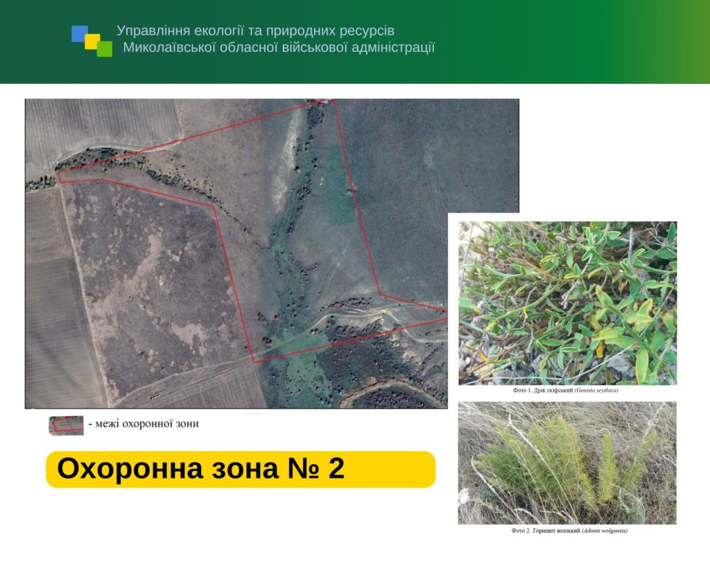 На Миколаївщині створено охоронні зони для збереження біорізноманіття в лісах (ФОТО) 3