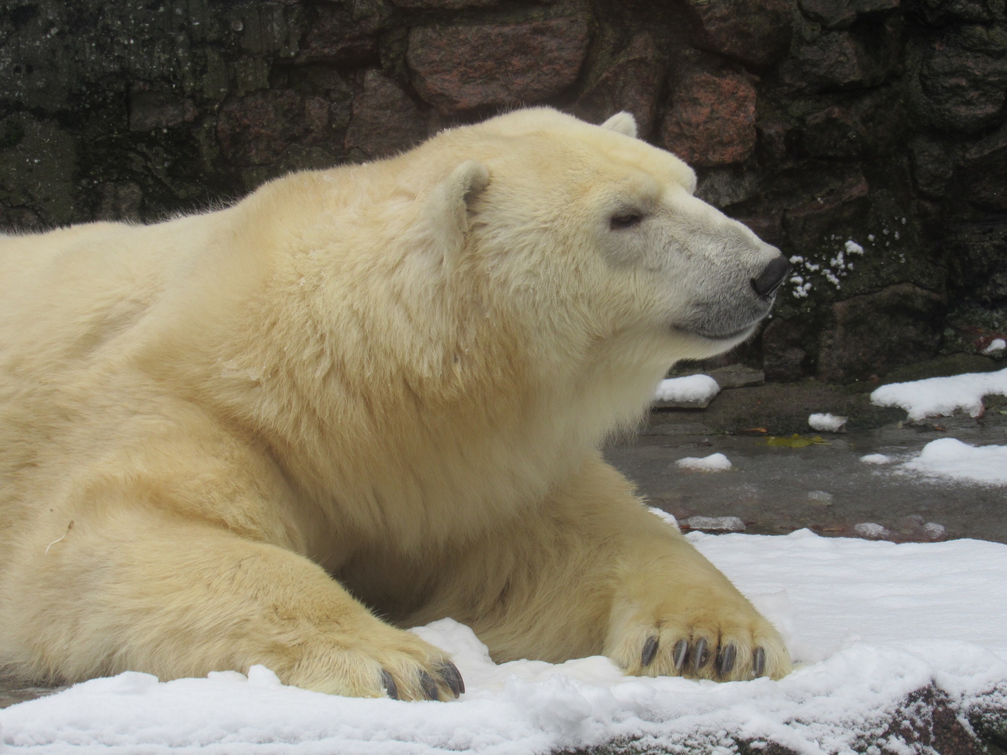 Іменинники Миколаївського зоопарку: Зефірка і донька її Сметанка (ФОТО)