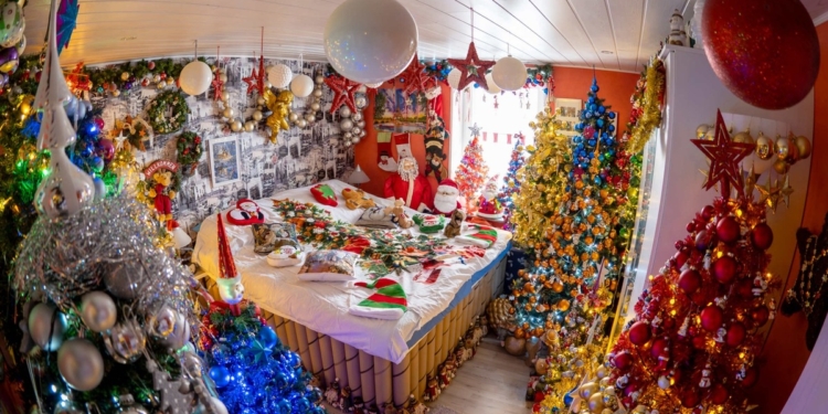 В Німеччині сім’я прикрасила будинок 555 ялинками і встановила черговий рекорд (ФОТО)