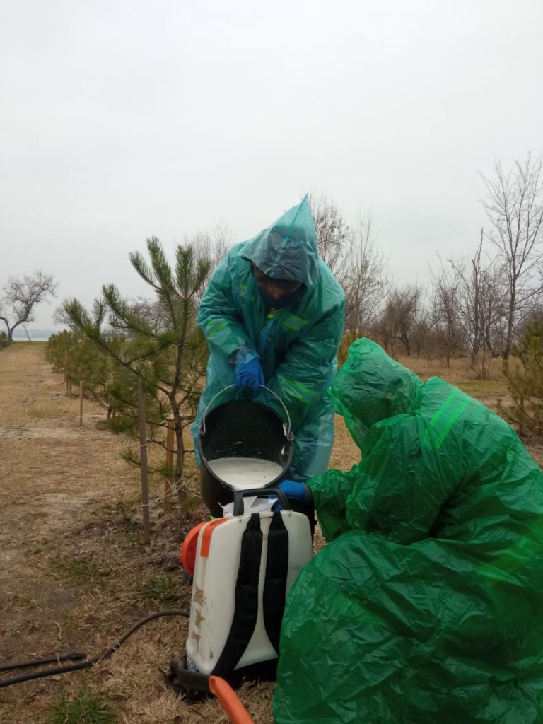 В трьох скверах і парках Миколаєва сосни обробили спеціальним препаратом, який в теплі розпадається на небезпечні сполуки (ФОТО) 6