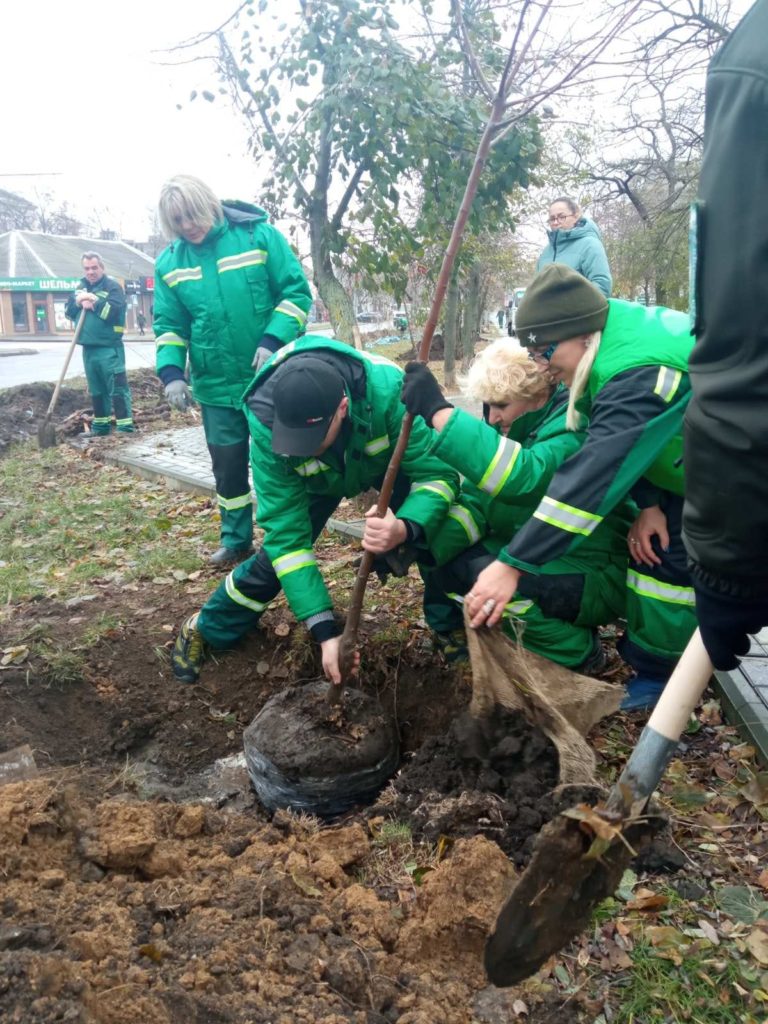 У Миколаєві на пр.Центральному висадили 50 саджанців липи – ще 50 саджанців висадять в парку «Богоявленський» (ФОТО) 7