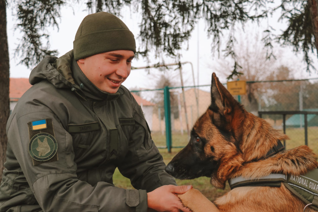 На Миколаївщині медаллю «За віддану службу» вже вдруге нагородили гвардійську вівчарку (ФОТО) 8