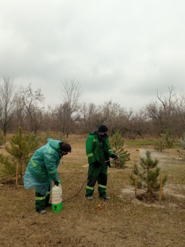 В трьох скверах і парках Миколаєва сосни обробили спеціальним препаратом, який в теплі розпадається на небезпечні сполуки (ФОТО) 12