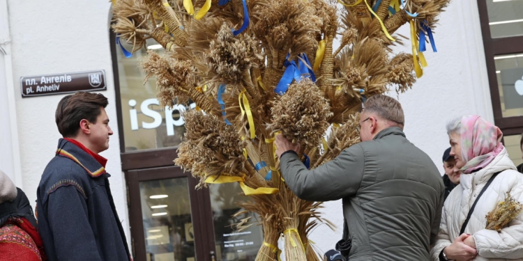 У Львові встановили 4-метрового Різдвяного дідуха (ФОТО)