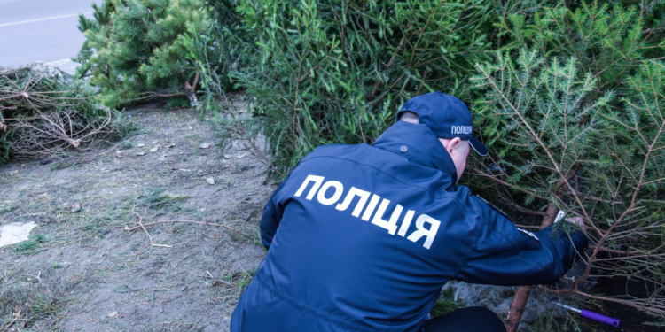 У Миколаєві поліцейські провели 108 рейдових перевірок ялинкових базарів: зафіксовано 5 правопорушень (ФОТО)