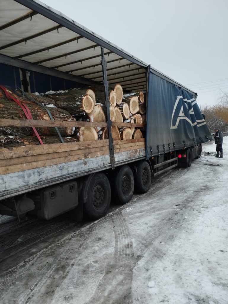 Знов «чорні лісоруби» на Миколаївщині: один спиляв ясенів на півмільйона, інший перевозив 22 куби деревини без документів (ФОТО) 18