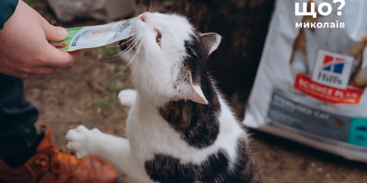 За час повномасштабного вторгнення миколаївські зооволонтери евакуювали понад 500 тварин і згодували «хвостикам» понад 580 тонн корму (ФОТО)