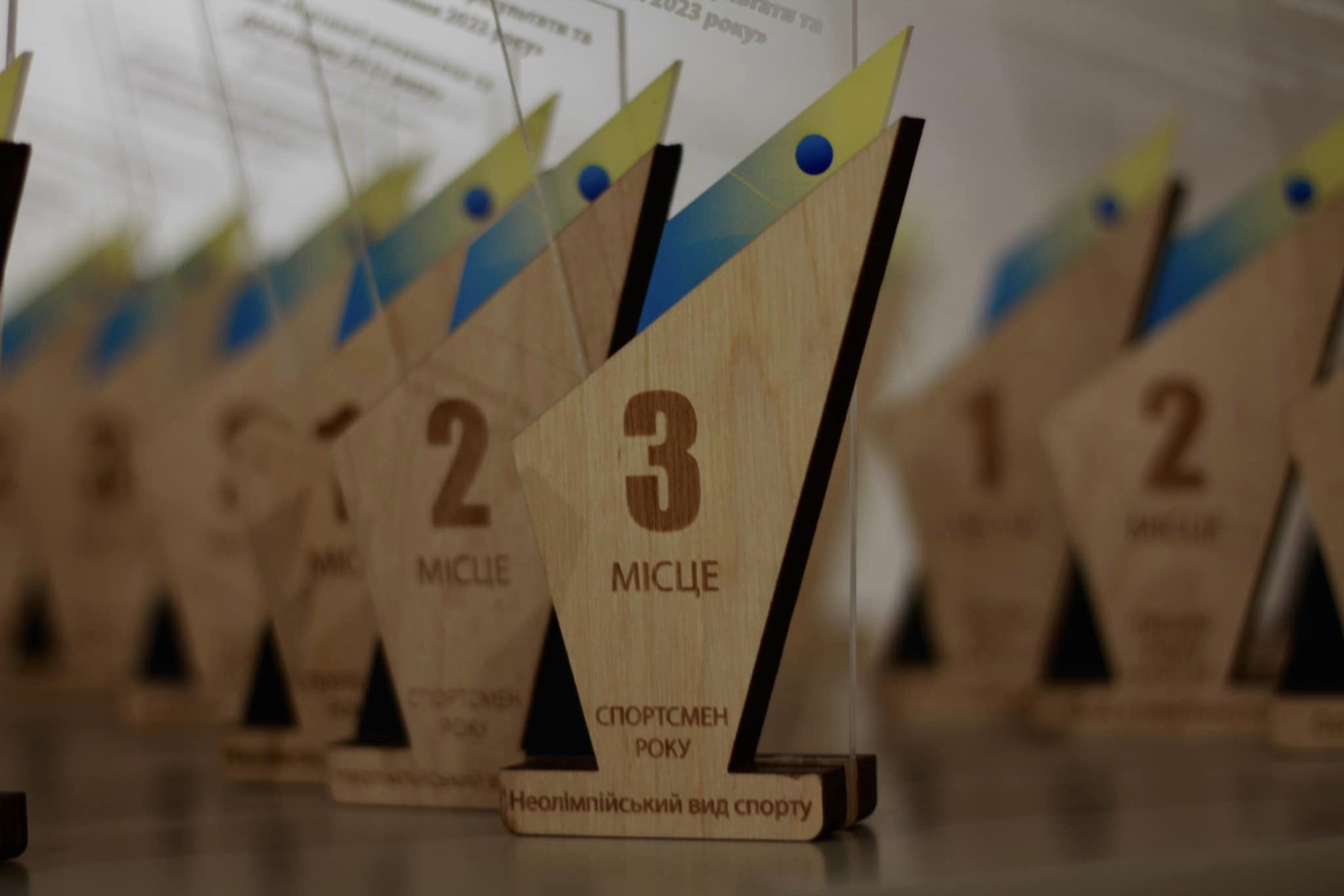 У Миколаєві підбили підсумки спортивного року (ФОТО)