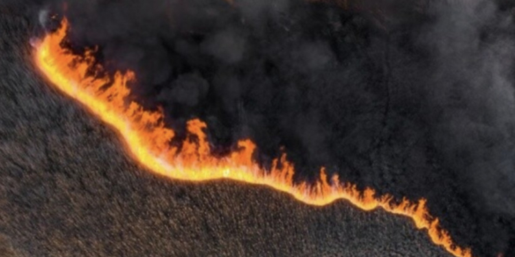 Збитки довкіллю через повномасштабне російське вторгнення вже перевищують 2,2 трлн.грн.