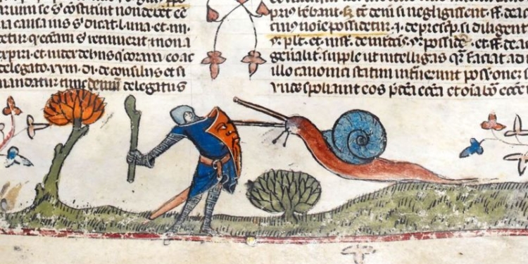 Бойові равлики. Середньовічна загадка, на яку досі немає відповіді (ФОТО)