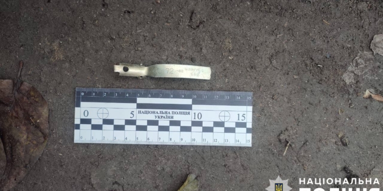 На Миколаївщині зять кинув гранату на подвір’я тестя (ФОТО)