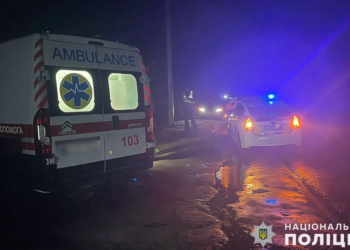 На Миколаївщині автівка збила 85-річного пішохода – поліція розпочала кримінальне провадження (ФОТО)